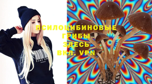 2c-b Рославль