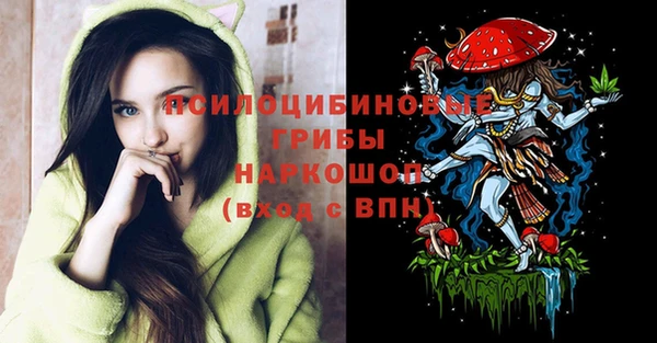 мдпв Беломорск