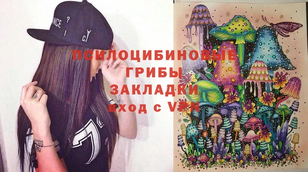 мдпв Беломорск
